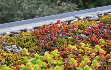the cost of Monmore Green green roof installation