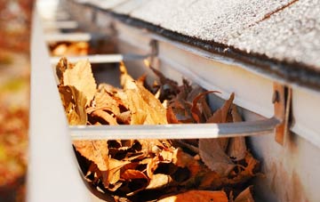Monmore Green gutter cleaning companies