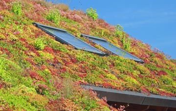 Monmore Green living roof systems