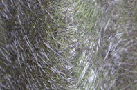 Monmore Green fibreglass roof work